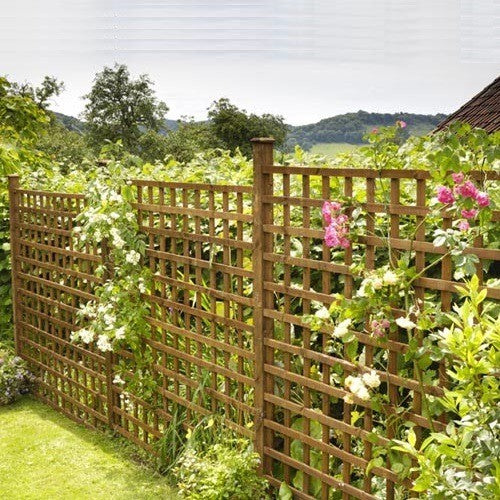 Trellis