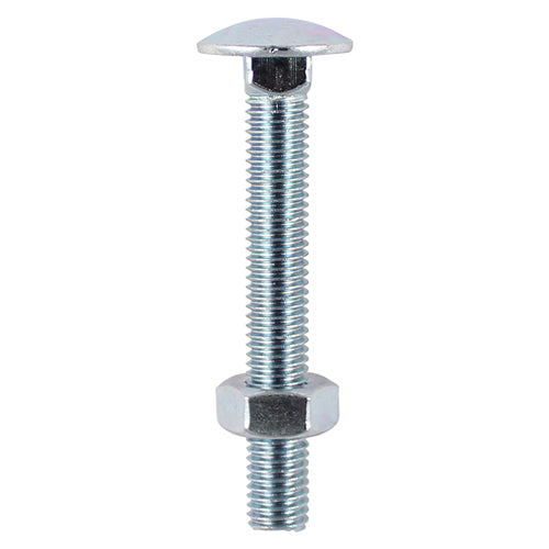 Carriage Bolt