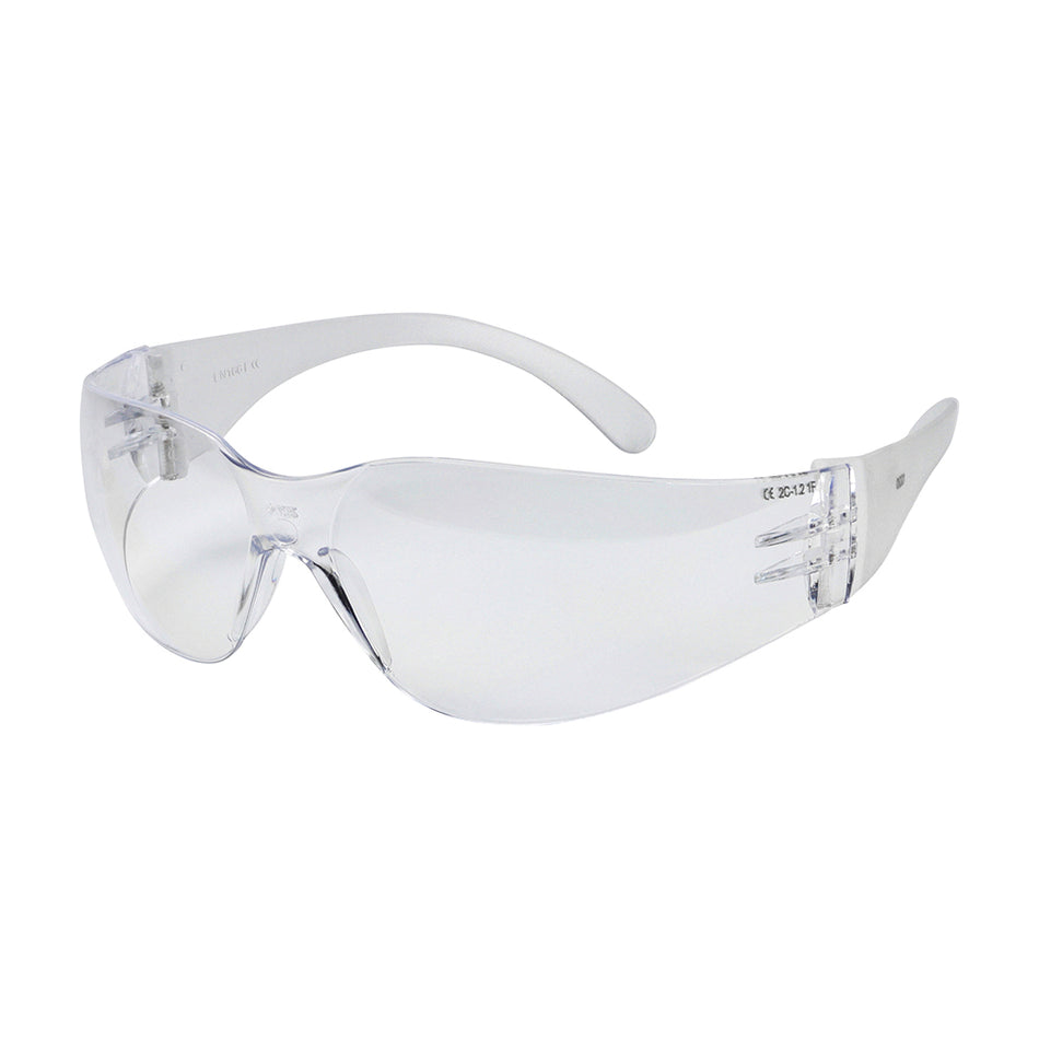 Economic Safety Glasses Clear